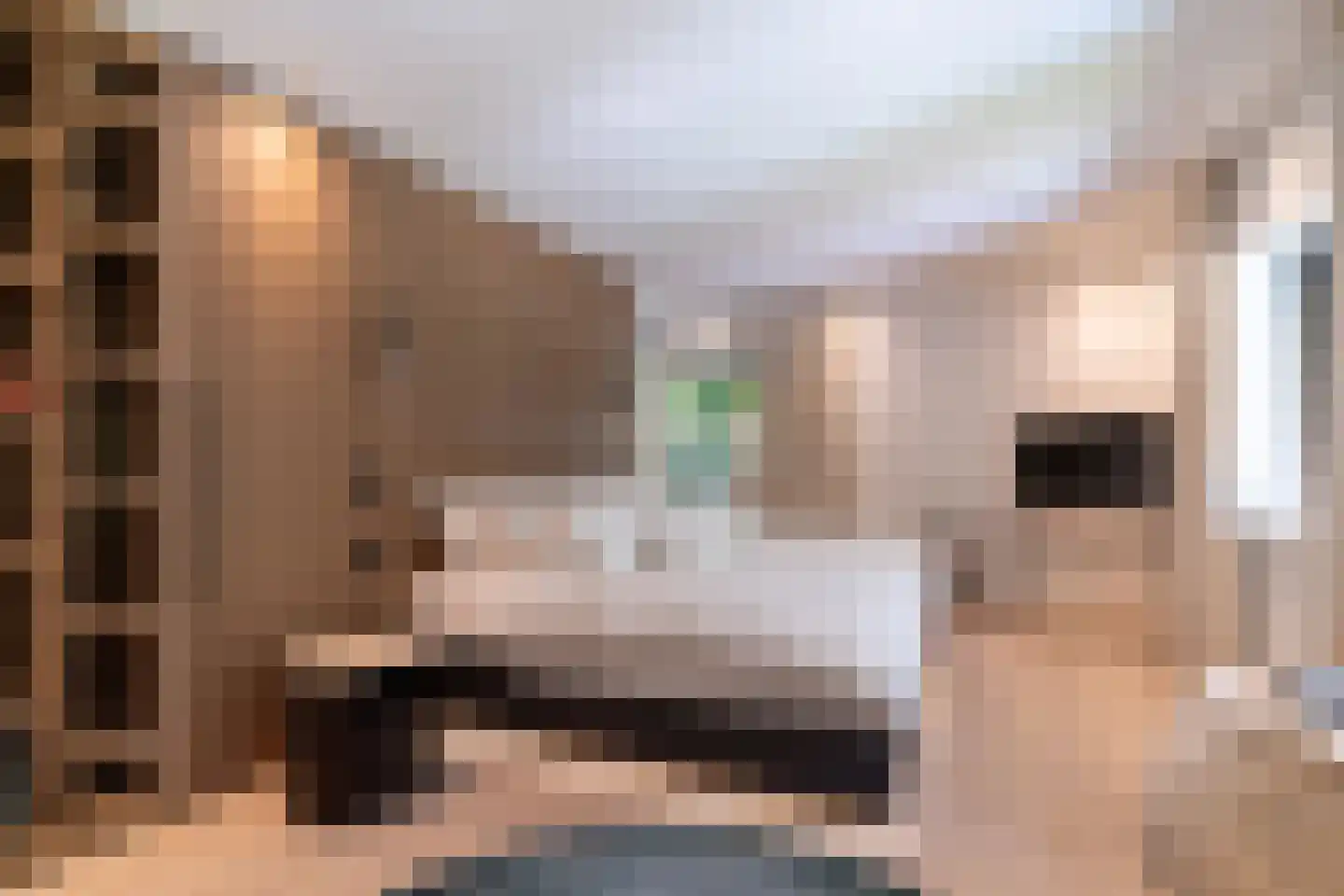 Laan van Hoogwolde 1 Wassenaar thumbnail 8