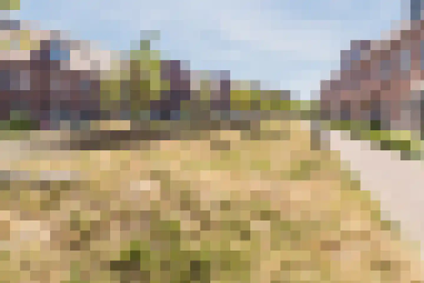 Laan van Hout 169 Waddinxveen thumbnail 40