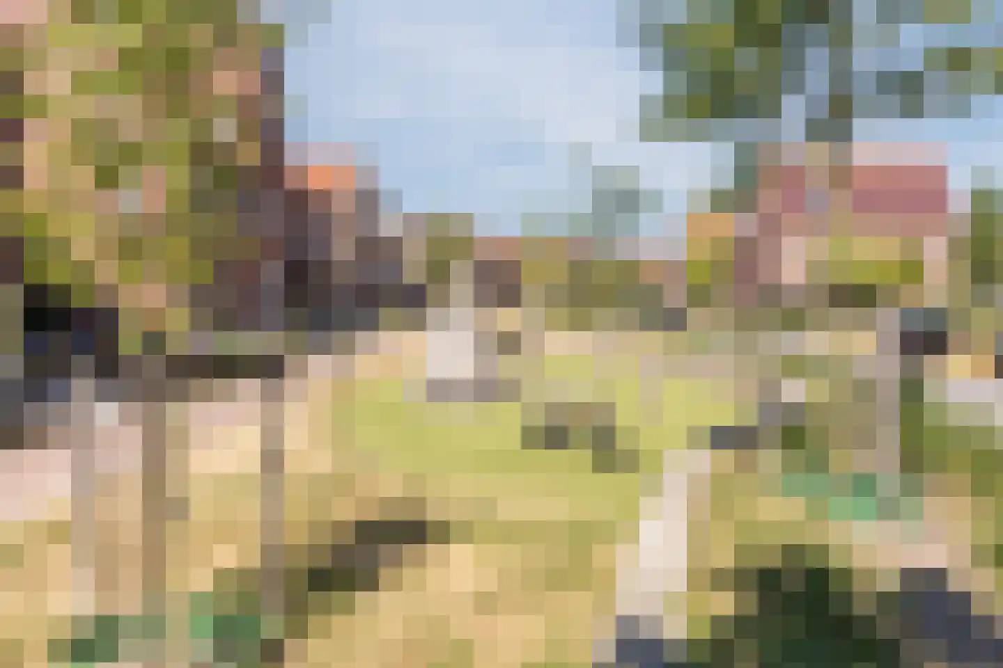 Laan van Hout 169 Waddinxveen thumbnail 41