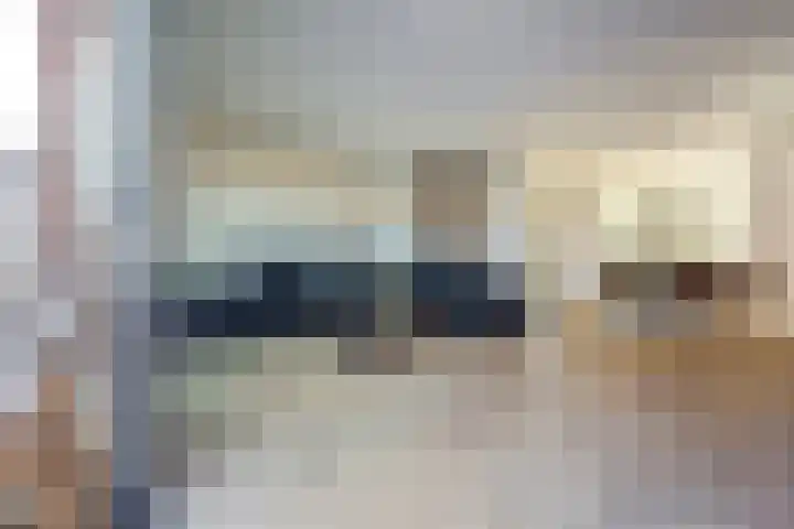 Laan van Hout 23 Waddinxveen thumbnail 14