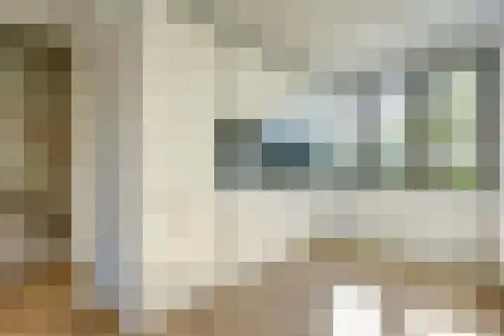 Laan van Hout 23 Waddinxveen thumbnail 16