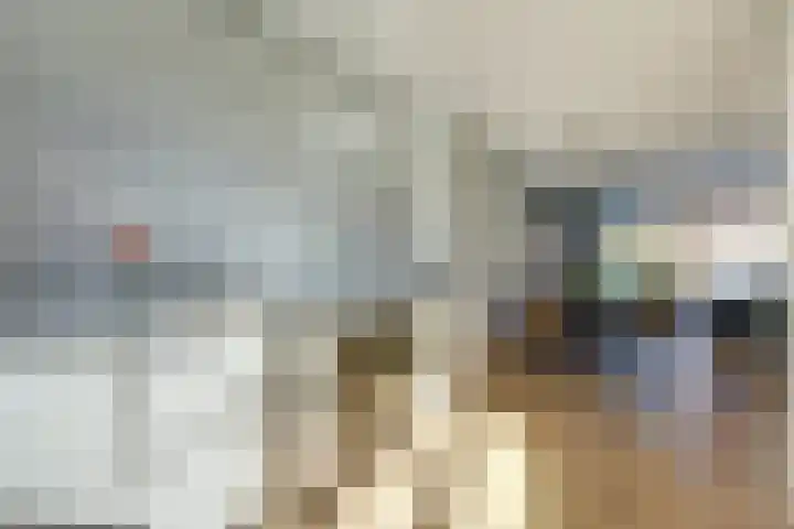 Laan van Hout 23 Waddinxveen thumbnail 17