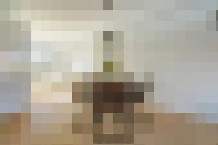 Laan van Hout 23 Waddinxveen thumbnail 19