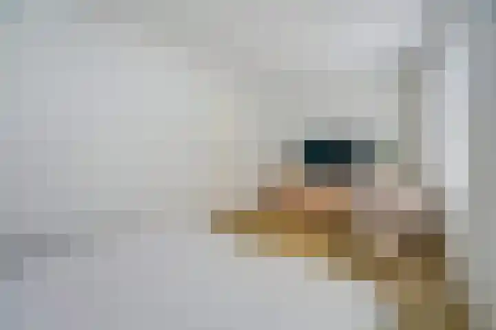 Laan van Hout 23 Waddinxveen thumbnail 23