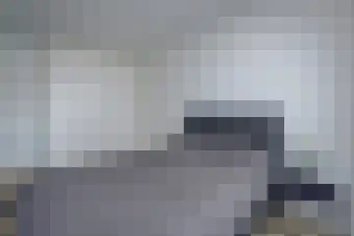 Laan van Hout 23 Waddinxveen thumbnail 25