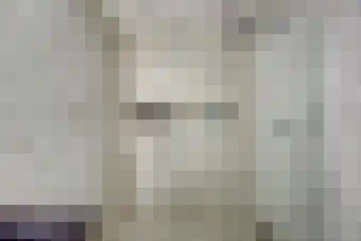 Laan van Hout 23 Waddinxveen thumbnail 30