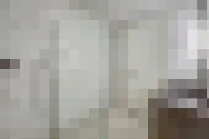 Laan van Hout 23 Waddinxveen thumbnail 31