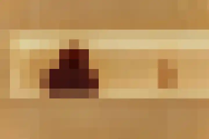 Laan van Hout 23 Waddinxveen thumbnail 32