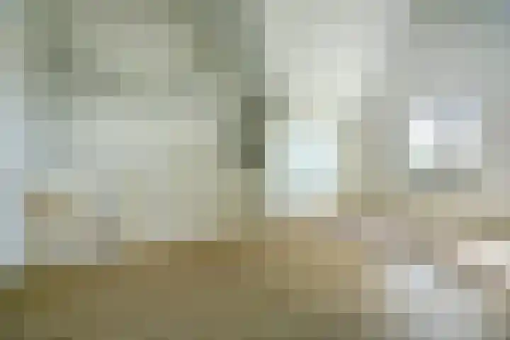 Laan van Hout 23 Waddinxveen thumbnail 34