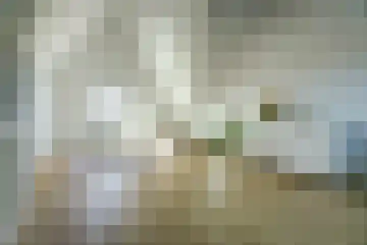 Laan van Hout 23 Waddinxveen thumbnail 35
