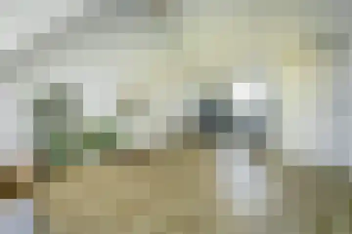 Laan van Hout 23 Waddinxveen thumbnail 36