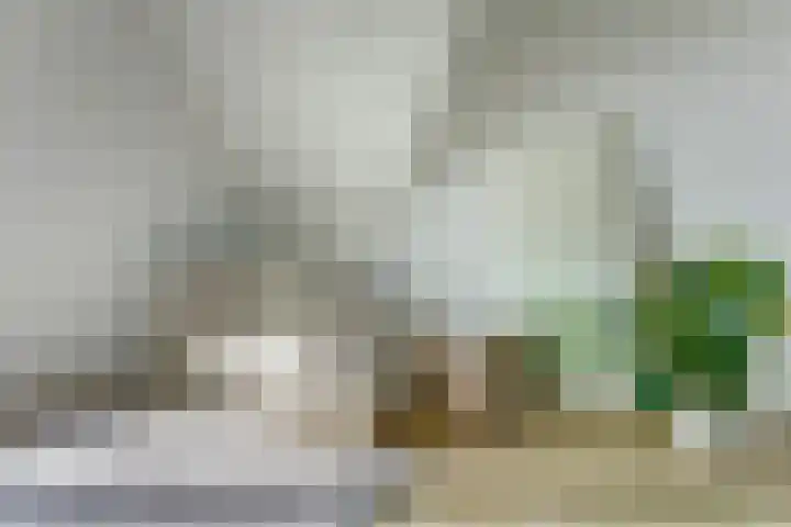 Laan van Hout 23 Waddinxveen thumbnail 37