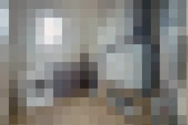 Laan van Hout 23 Waddinxveen thumbnail 38
