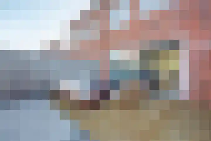 Laan van Hout 23 Waddinxveen thumbnail 39