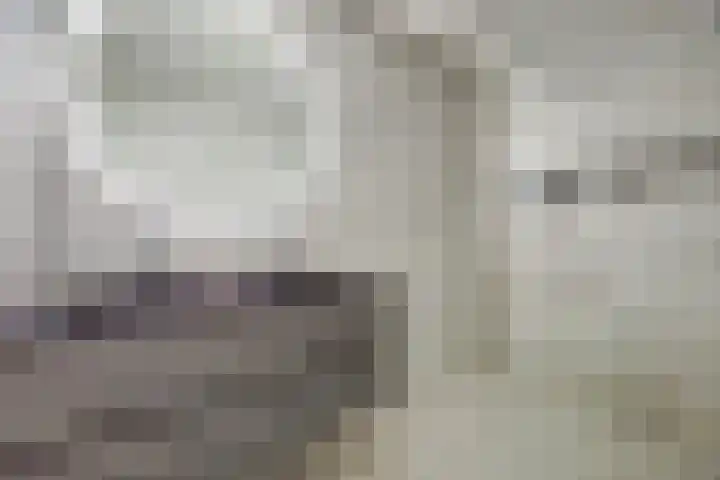 Laan van Hout 23 Waddinxveen thumbnail 4