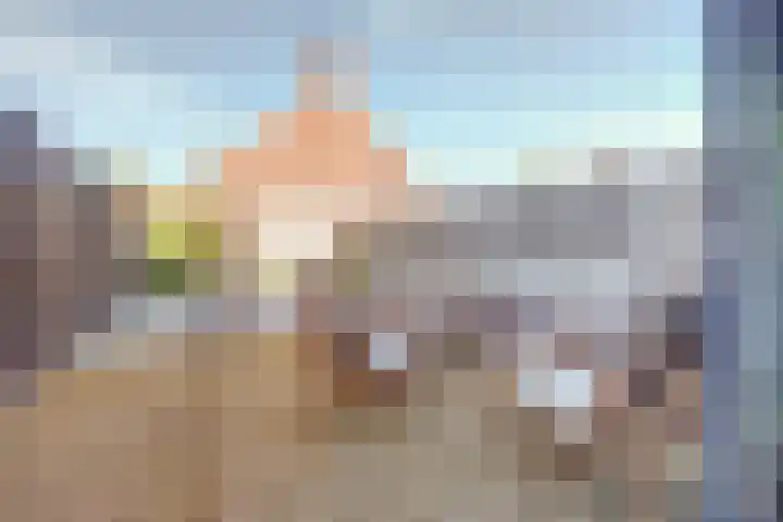 Laan van Hout 23 Waddinxveen thumbnail 42
