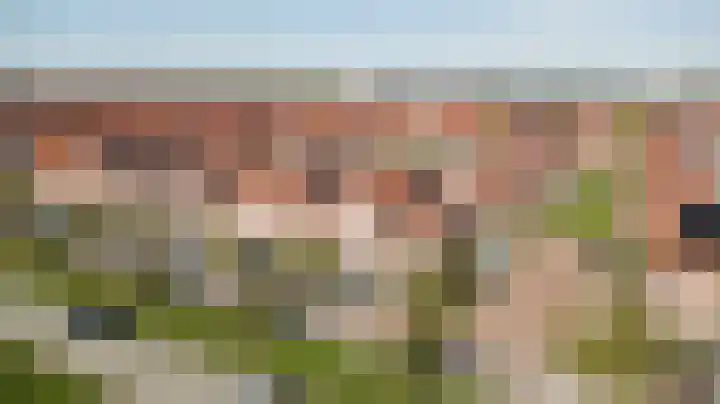 Laan van Hout 23 Waddinxveen thumbnail 46