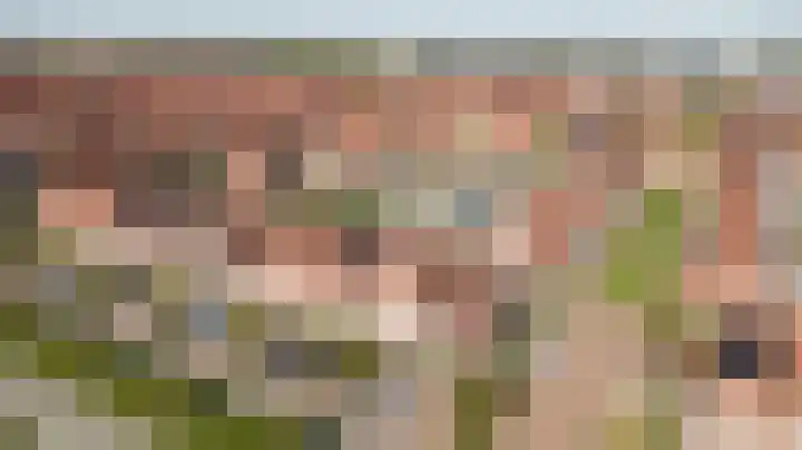 Laan van Hout 23 Waddinxveen thumbnail 47
