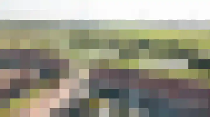 Laan van Hout 23 Waddinxveen thumbnail 49