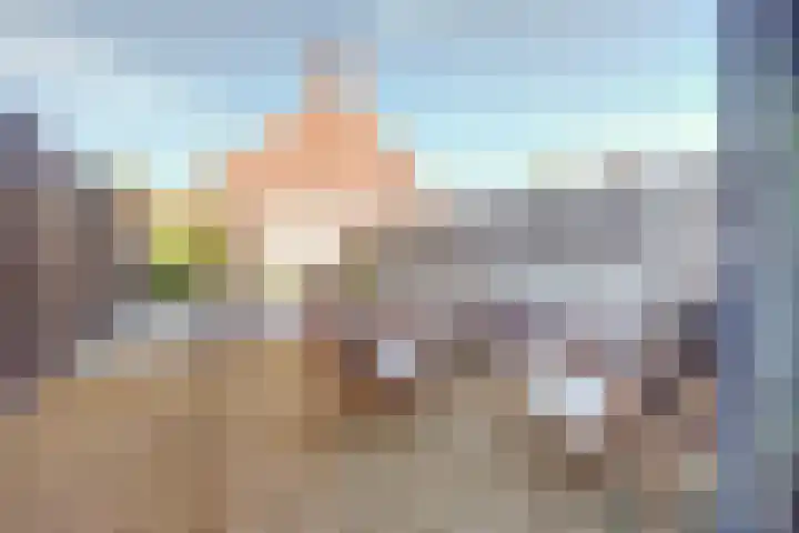 Laan van Hout 23 Waddinxveen thumbnail 5