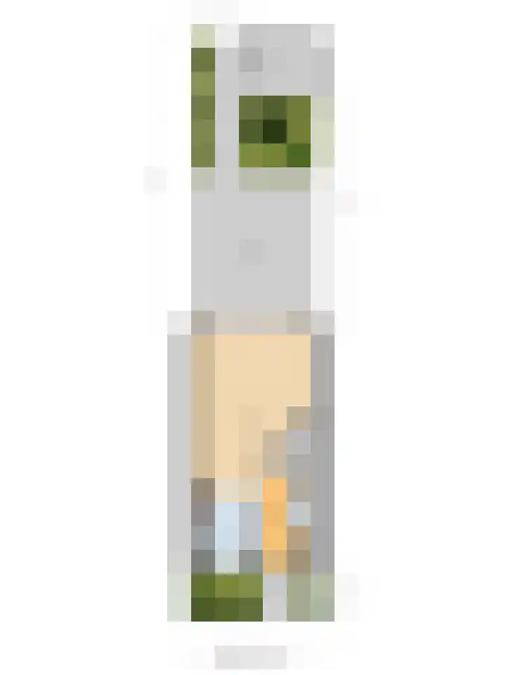 Laan van Hout 23 Waddinxveen thumbnail 52