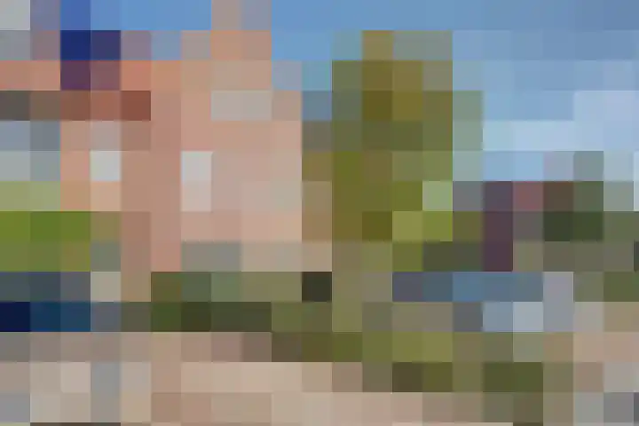 Laan van Hout 23 Waddinxveen thumbnail 6