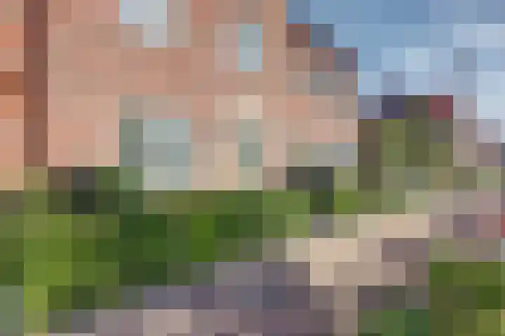 Laan van Hout 23 Waddinxveen thumbnail 7
