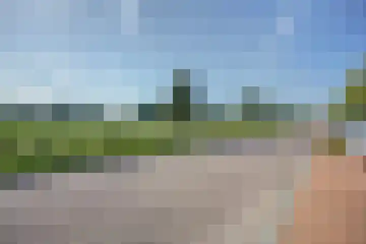 Laan van Hout 23 Waddinxveen thumbnail 8