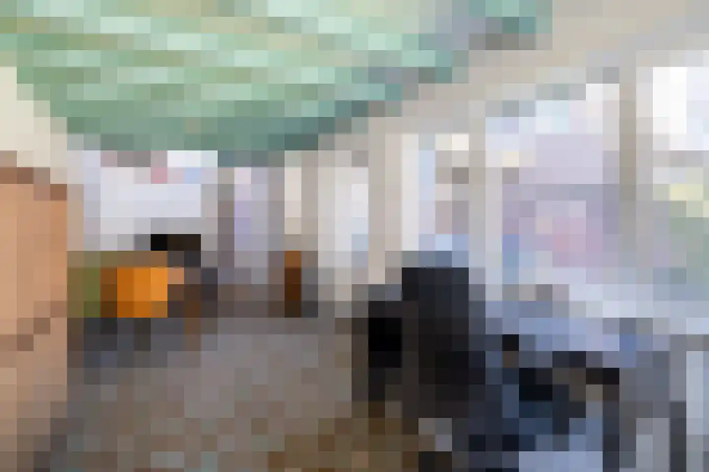 Laan van Hövell tot Westerflier 29 Heerlen thumbnail 18