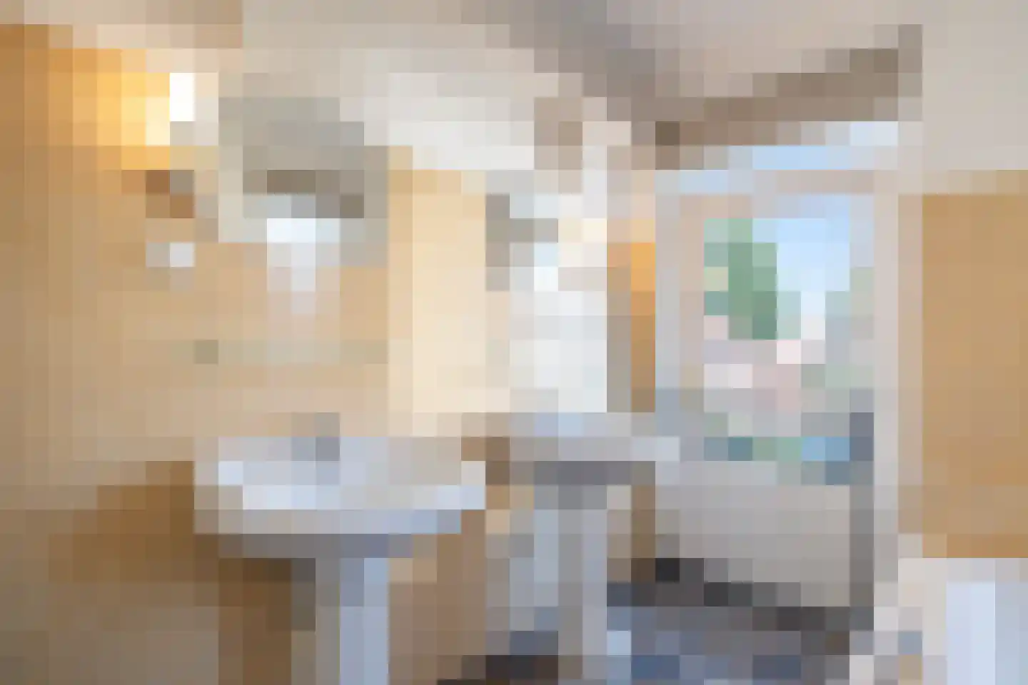 Laan van Hövell tot Westerflier 29 Heerlen thumbnail 28