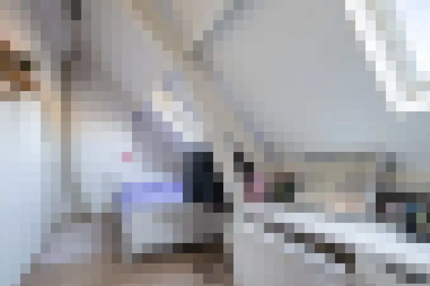 Laan van Hövell tot Westerflier 29 Heerlen thumbnail 33