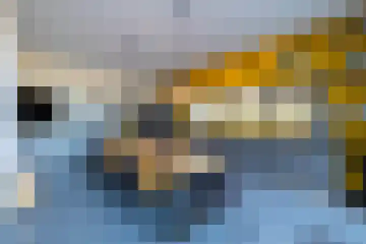 Laan van Indië 24 Almelo thumbnail 11