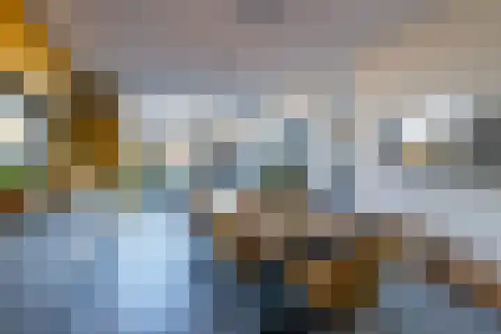 Laan van Indië 24 Almelo thumbnail 12