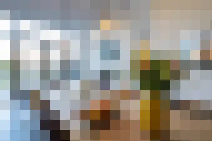 Laan van Indië 24 Almelo thumbnail 13