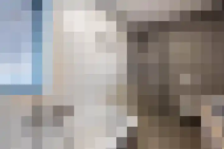 Laan van Indië 24 Almelo thumbnail 17