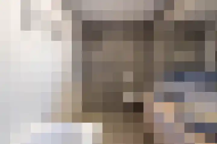 Laan van Indië 24 Almelo thumbnail 18