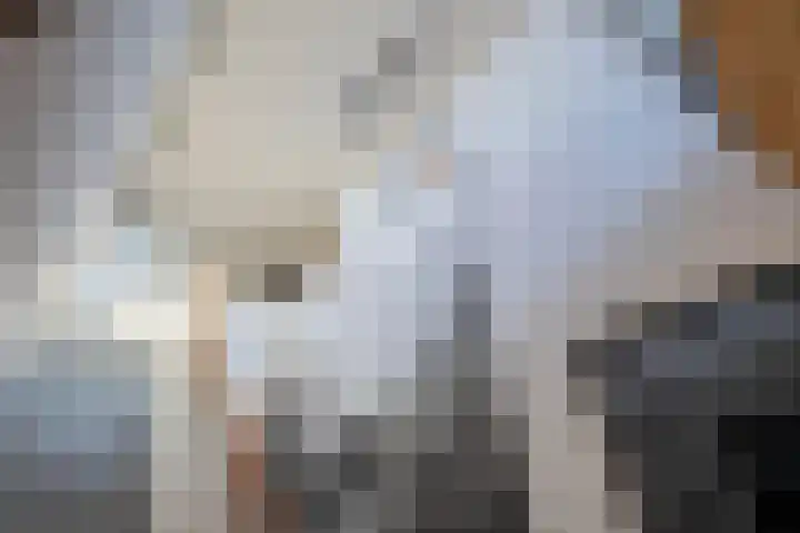 Laan van Indië 24 Almelo thumbnail 21