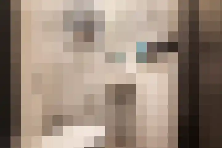 Laan van Indië 24 Almelo thumbnail 23