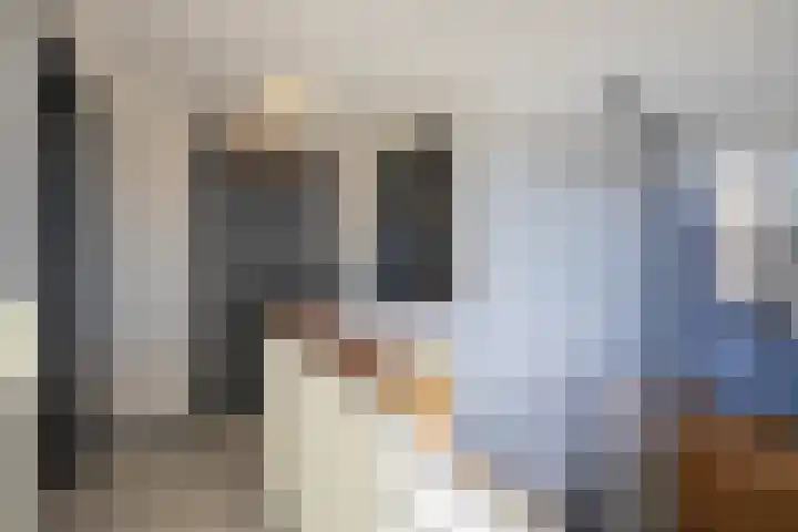 Laan van Indië 24 Almelo thumbnail 24