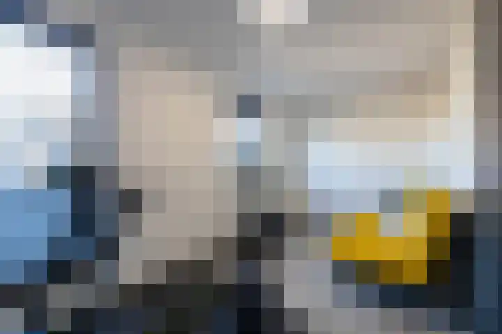Laan van Indië 24 Almelo thumbnail 26