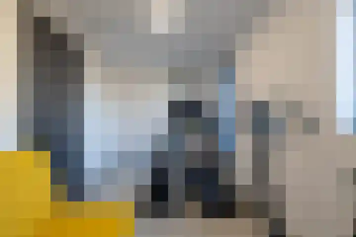 Laan van Indië 24 Almelo thumbnail 27