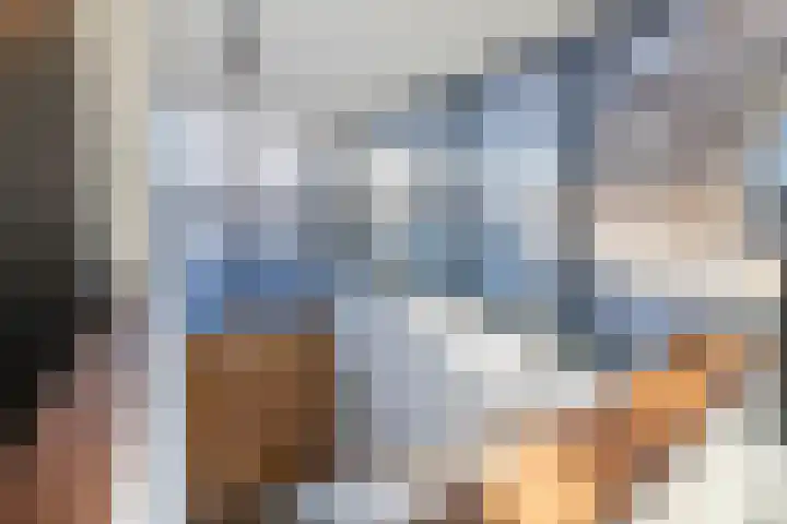 Laan van Indië 24 Almelo thumbnail 29