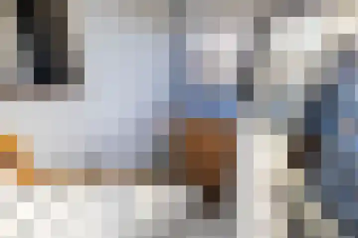 Laan van Indië 24 Almelo thumbnail 30