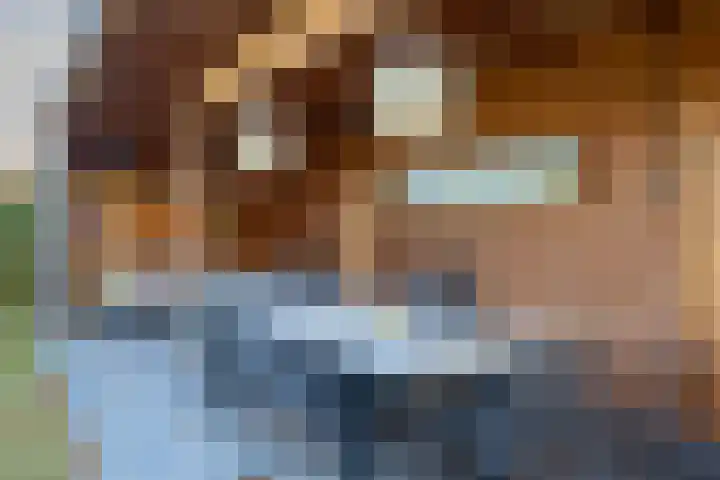 Laan van Indië 24 Almelo thumbnail 31