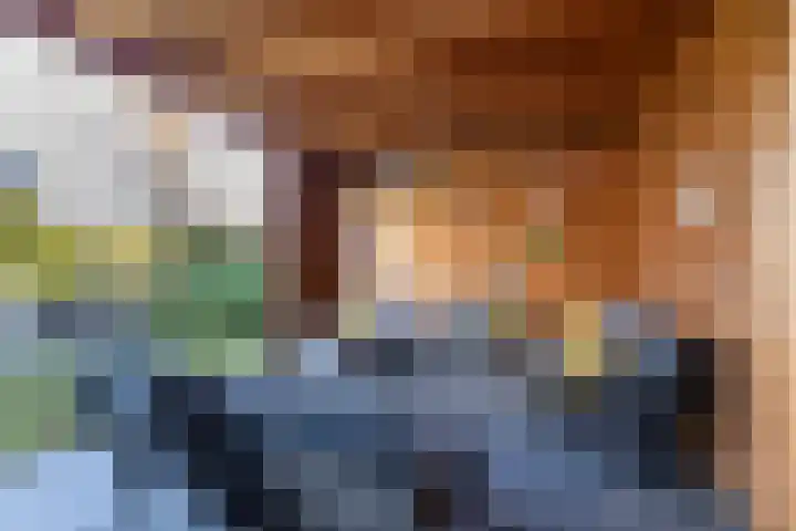 Laan van Indië 24 Almelo thumbnail 32