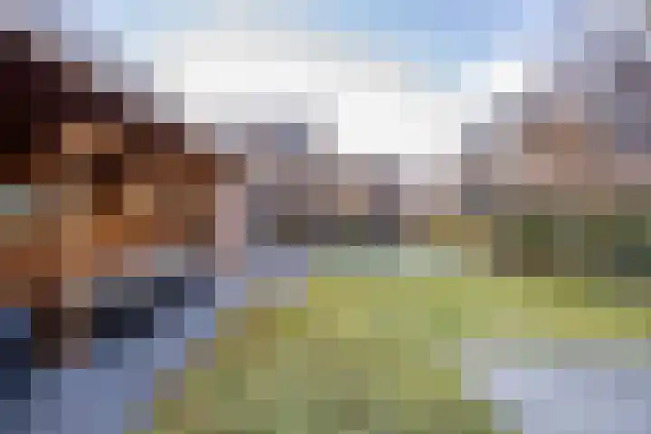 Laan van Indië 24 Almelo thumbnail 34