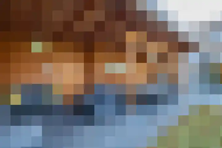 Laan van Indië 24 Almelo thumbnail 35