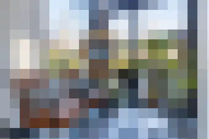 Laan van Indië 24 Almelo thumbnail 8