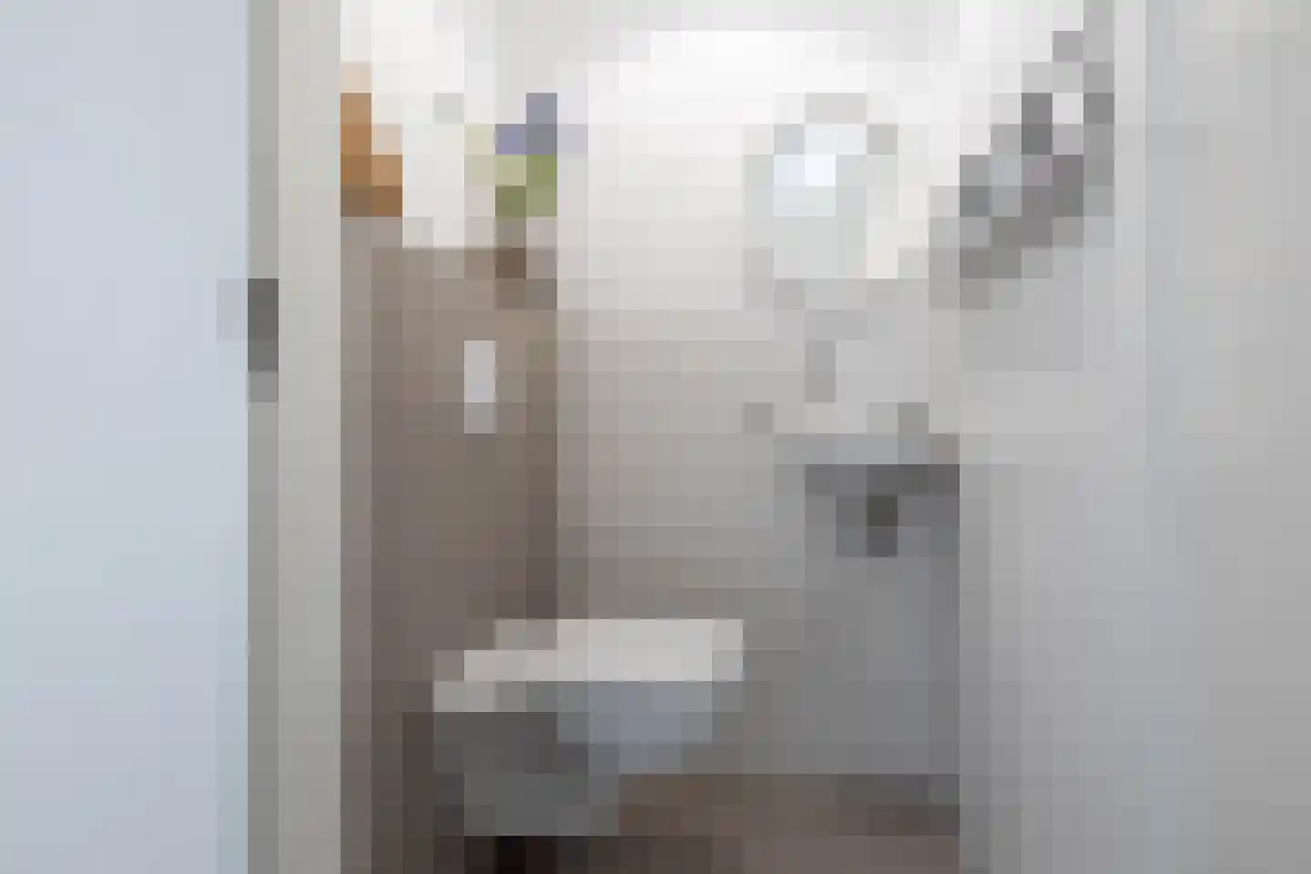 Laan van Indië 29 Almelo thumbnail 16