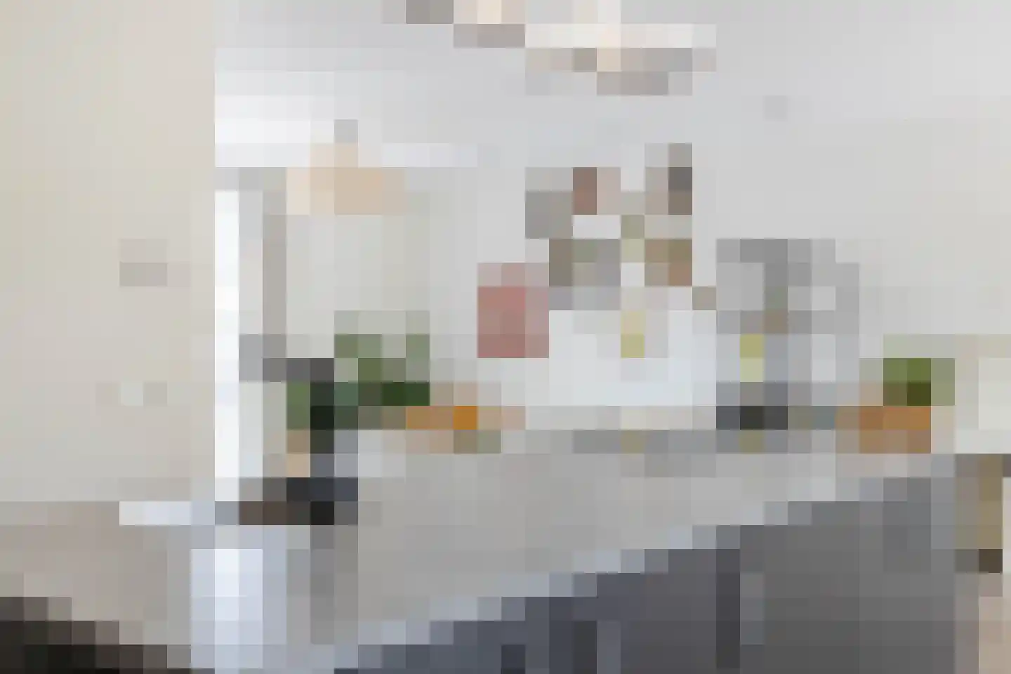 Laan van Indië 29 Almelo thumbnail 8